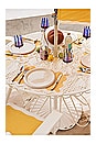 view 6 of 6 Placemat - Set Of 4 in Riviera Mimosa