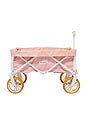 view 1 of 7 Folding Beach Cart in Laurens Pink Stripe