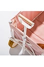view 6 of 7 Folding Beach Cart in Laurens Pink Stripe