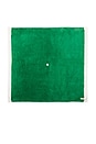 view 4 of 6 Beach Blanket in Crew Canyon Green Stripe