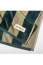view 2 of 2 MANTA PLAYA BEACH BLANKET in Terry Green Stripe