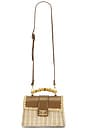 view 1 of 5 Debon Bag in Chocolate & Natural