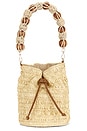 view 1 of 4 Tessa Bucket Bag in Natural