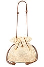 view 1 of 5 Marcela Bag in Natural & Chocolate