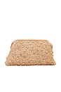 view 1 of 4 Briar Crystal Clutch in Honey