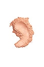 view 3 of 3 POUDRE VISAGE HYALURONIC HYDRA-POWDER in N2. Apricot Light