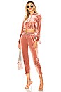 view 4 of 4 Behati Cropped Velour Hoodie in Blush