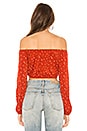 view 3 of 4 Regan Crop Top in Rust Star
