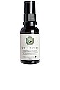 view 1 of 1 SUPLEMENTO DE BELLEZA WELL SPRAY in 