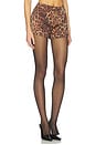 view 2 of 6 СЕКСУАЛЬНЫЕ ШОРТЫ PENELOPE BOW in Leopard