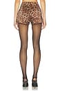 view 4 of 6 СЕКСУАЛЬНЫЕ ШОРТЫ PENELOPE BOW in Leopard