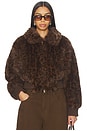 view 1 of 4 Hailey Faux Fur Bomber in Leopard