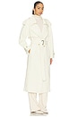 view 2 of 4 Dillon Trench Coat in Ivory