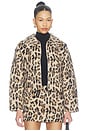view 1 of 5 Martina Jacket in Leopard