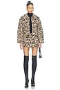 view 6 of 5 Martina Jacket in Leopard