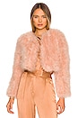 view 1 of 4 Manhattan Feather Jacket in Rose