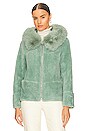 view 2 of 5 Maya Jacket in Fern