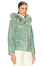view 3 of 5 Maya Jacket in Fern