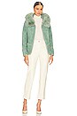 view 5 of 5 Maya Jacket in Fern
