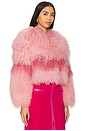 view 2 of 4 Georgina Jacket in Pink