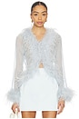 view 1 of 4 Gigi Sheer Feather Blouse in Pale Blue