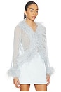 view 2 of 4 Gigi Sheer Feather Blouse in Pale Blue