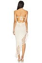 view 4 of 4 Lace Orchid Dress in Almond