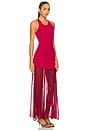 view 3 of 4 Metis Tank Dress in Cherry