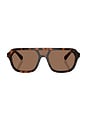 view 1 of 3 Aviator Sunglasses in Brown