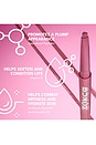view 7 of 8 Line & Shine Lip Oil & Lip Liner Duo in Smooth Spice & Moscow Mule