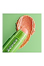 view 4 of 6 EXFOLIANT LÈVRES POWER-FULL LIP SCRUB in Sweet Guava