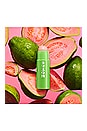 view 6 of 6 Power-Full Lip Scrub in Sweet Guava