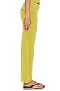 view 3 of 6 PANTALON THE LIZA  in Green
