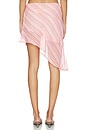 view 4 of 6 The Harley Skirt in Pink Stripe