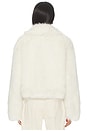 view 3 of 4 Kallie Faux Fur Jacket in Cream