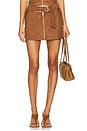 view 1 of 6 Regina Mini Skirt in Chocolate