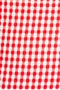 view 5 of 5 Magen Bodice in Red