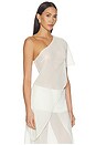 view 2 of 5 Marilyn Sheer Top in Ivory