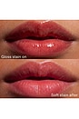 view 5 of 10 Kiss Off Glossy Lip Stain & Tint in Left On Red