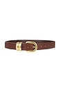 view 1 of 3 Zoira Belt in Dark Brown