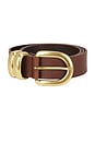 view 3 of 3 Zoira Belt in Dark Brown