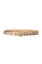 view 1 of 3 Zoilo Belt in Snake