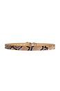 view 2 of 3 Zoilo Belt in Snake