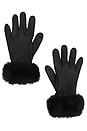 view 1 of 2 Genna Gloves in Black