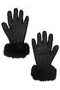 view 2 of 2 Genna Gloves in Black