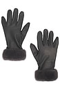 view 1 of 2 Genna Gloves in Brushed Grey