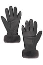view 2 of 2 Genna Gloves in Brushed Grey