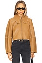 view 2 of 5 Rowani Jacket in Cornstalk