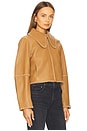 view 3 of 5 Rowani Jacket in Cornstalk
