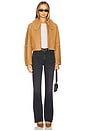 view 5 of 5 Rowani Jacket in Cornstalk
